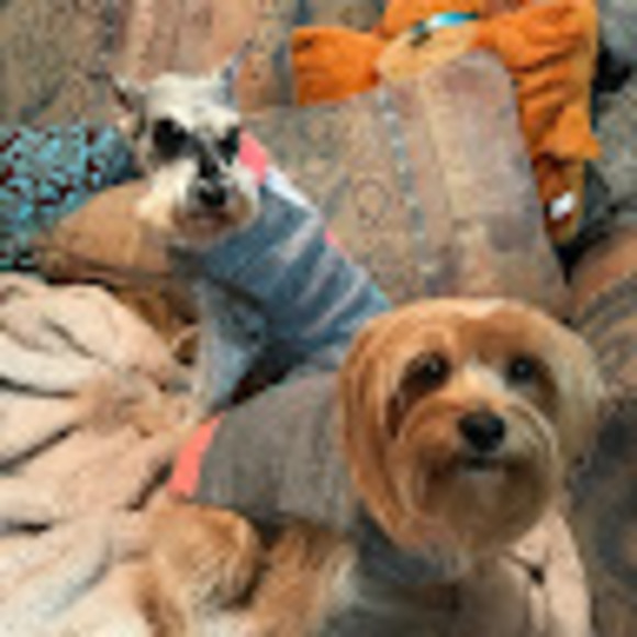 Meet your Posher, Steph - Picture 1 of 1